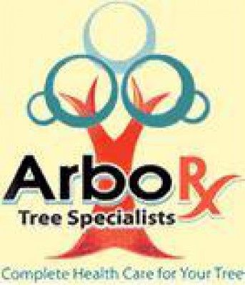 ArborX